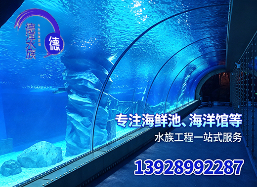 德洋东莞线上分站